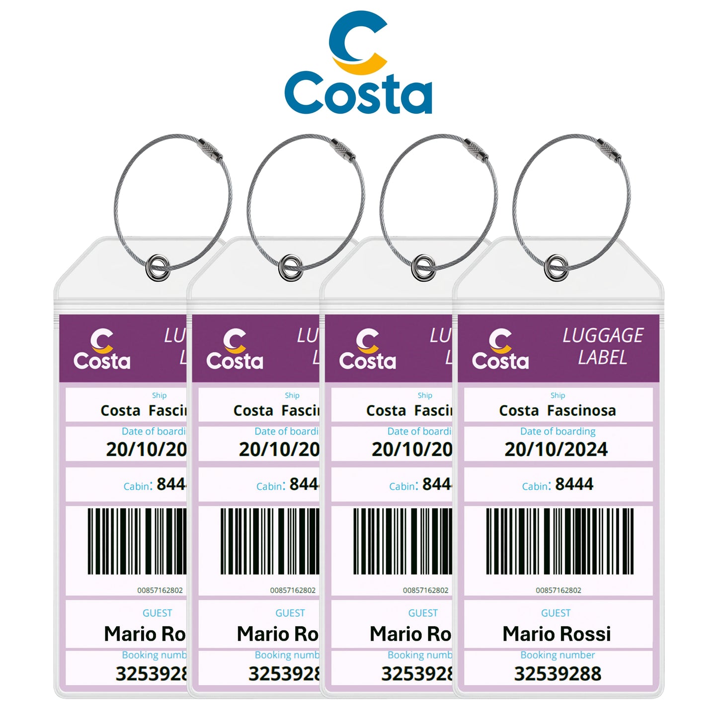Luggage Tag Holders for all Cruise Lines - Set of 4