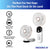 Cruise Approved Handheld 5-Speed Travel Fan